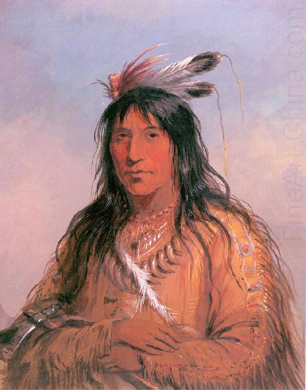 Miller, Alfred Jacob Bear Bull, Chief of the Oglala Sioux china oil painting image